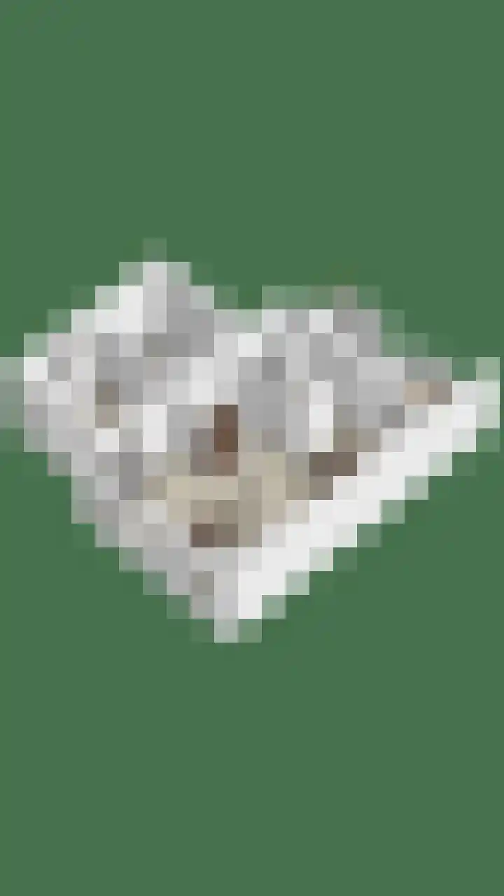 Den Bult 12 Eindhoven thumbnail 22
