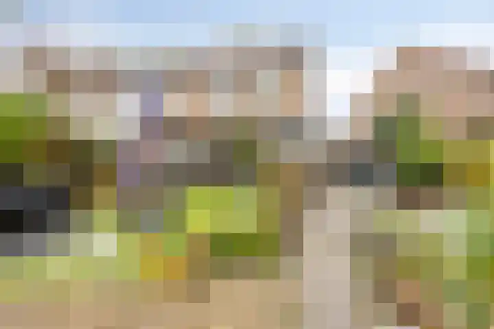 Den Bult 12 Eindhoven thumbnail 4