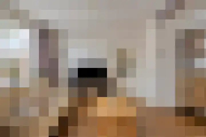 Den Bult 12 Eindhoven thumbnail 7
