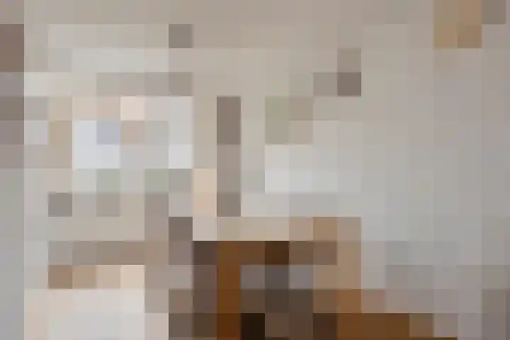 Den Bult 12 Eindhoven thumbnail 8