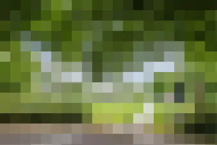 Den Burghstraat 10 Voorburg thumbnail 55