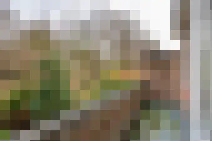 Den Burghstraat 11 Voorburg thumbnail 28