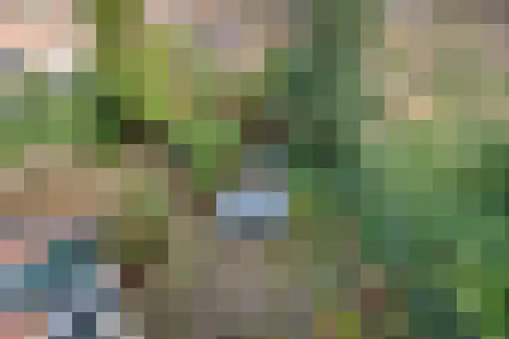 Den Burghstraat 11 Voorburg thumbnail 29
