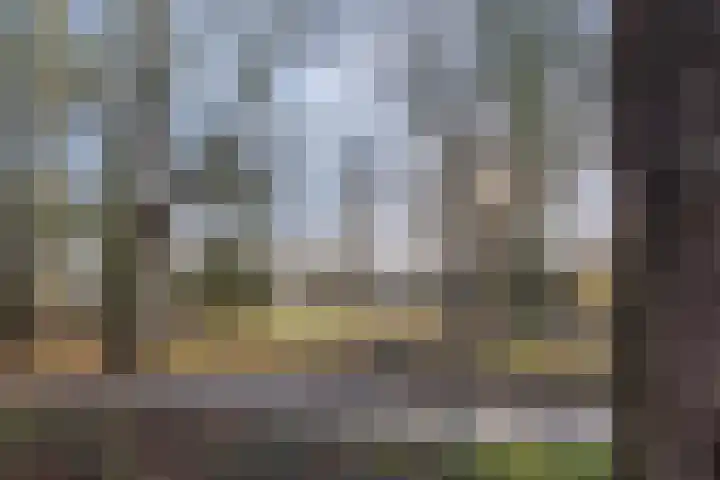 Den Burghstraat 11 Voorburg thumbnail 38