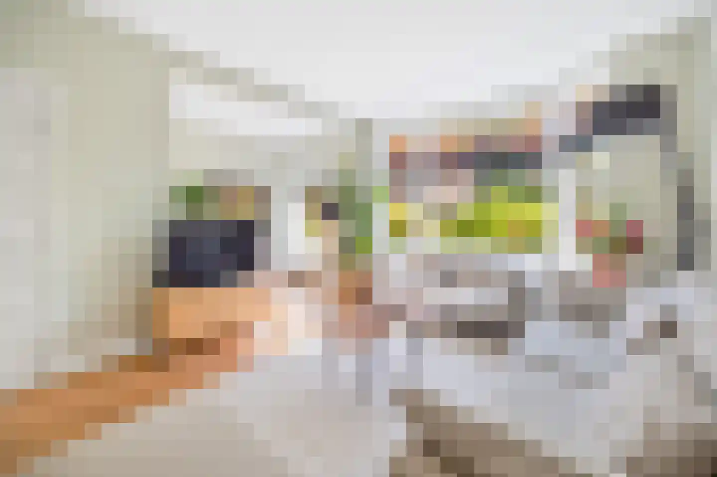 Den Burghstraat 22 Voorburg thumbnail 13