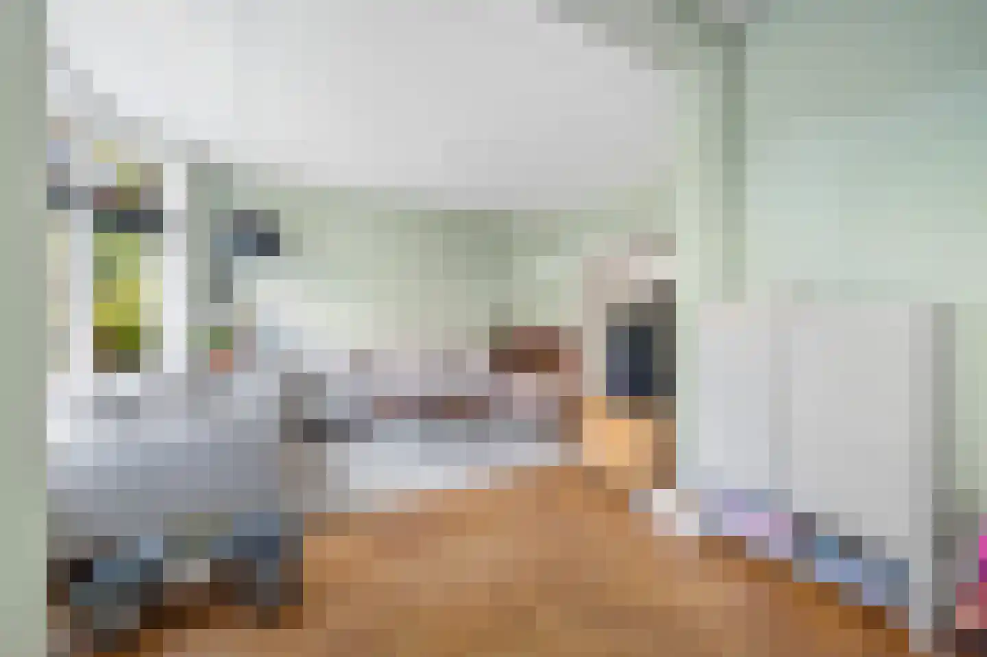 Den Burghstraat 22 Voorburg thumbnail 16