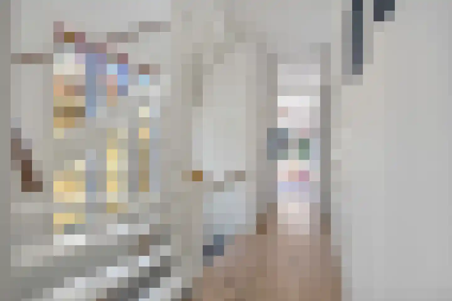 Den Burghstraat 22 Voorburg thumbnail 27