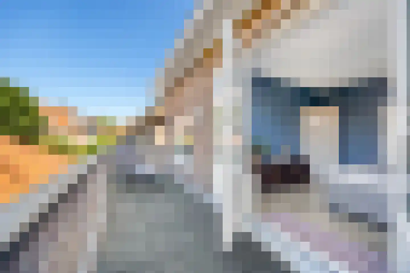 Den Burghstraat 22 Voorburg thumbnail 35