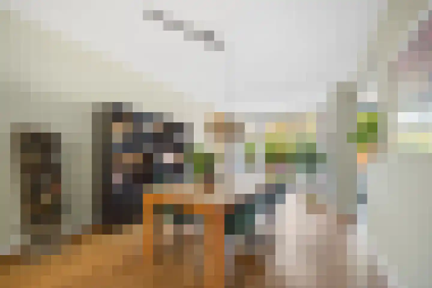 Den Burghstraat 22 Voorburg thumbnail 4