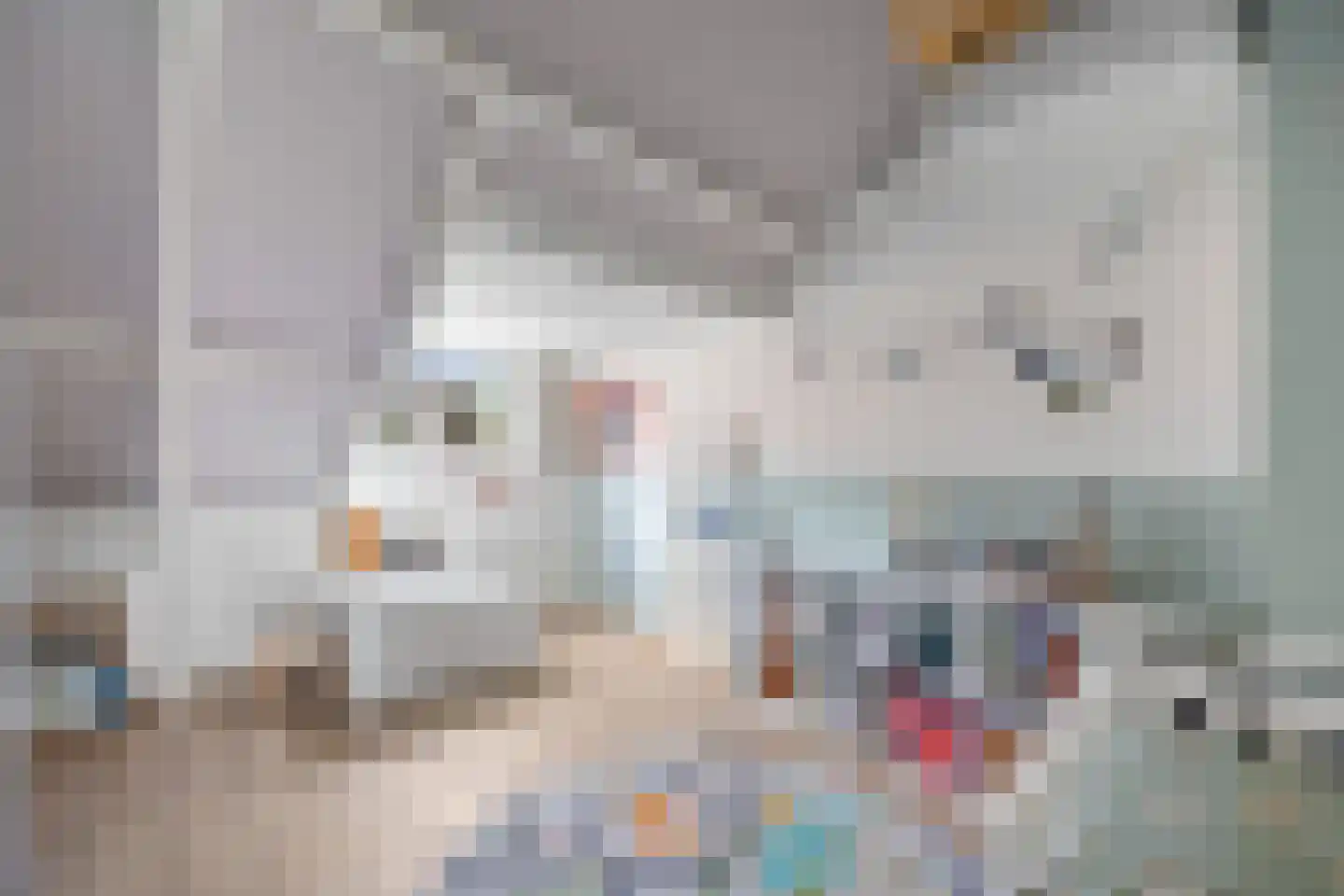 Den Burghstraat 22 Voorburg thumbnail 47