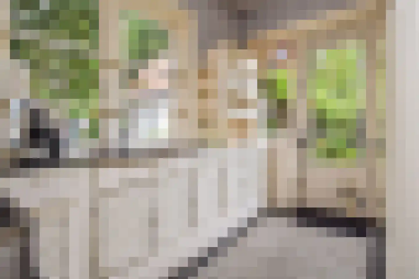 Den Burghstraat 27 Voorburg thumbnail 17