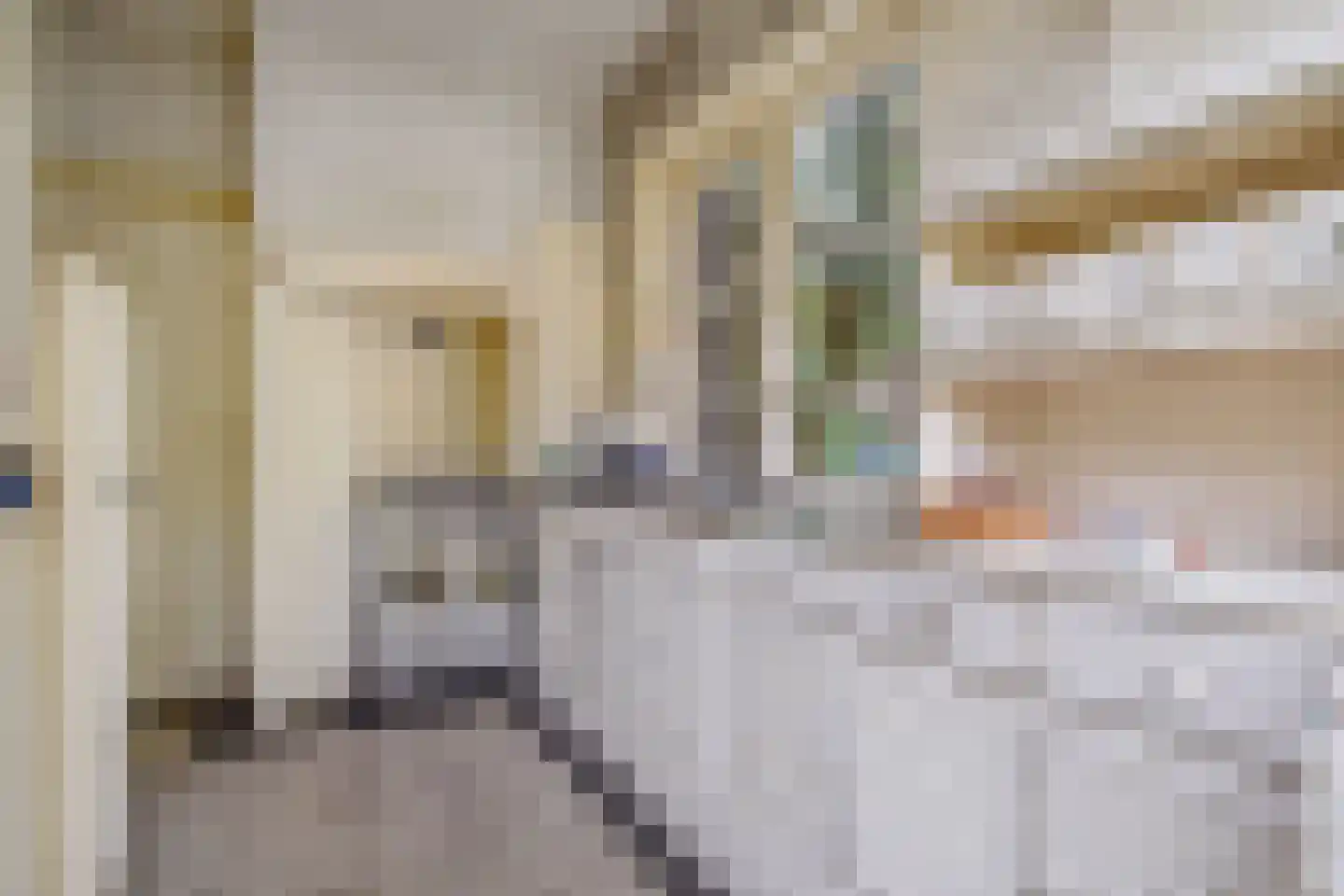 Den Burghstraat 27 Voorburg thumbnail 21