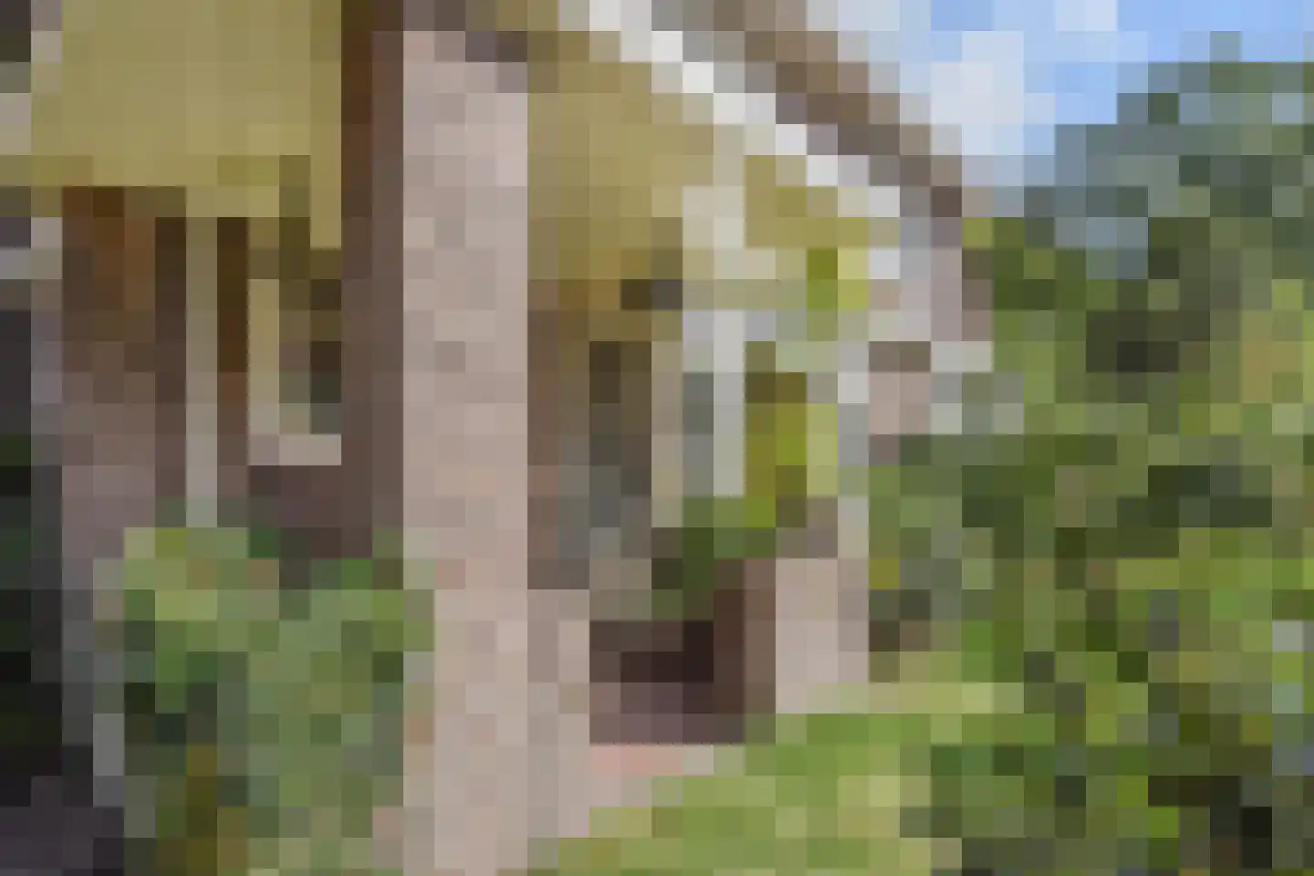 Den Burghstraat 27 Voorburg thumbnail 4