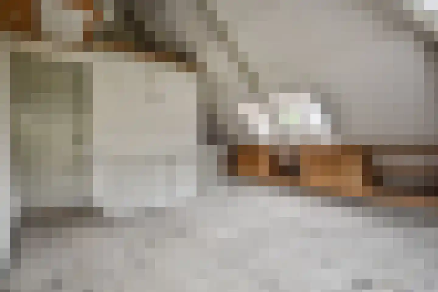 Den Burghstraat 27 Voorburg thumbnail 47