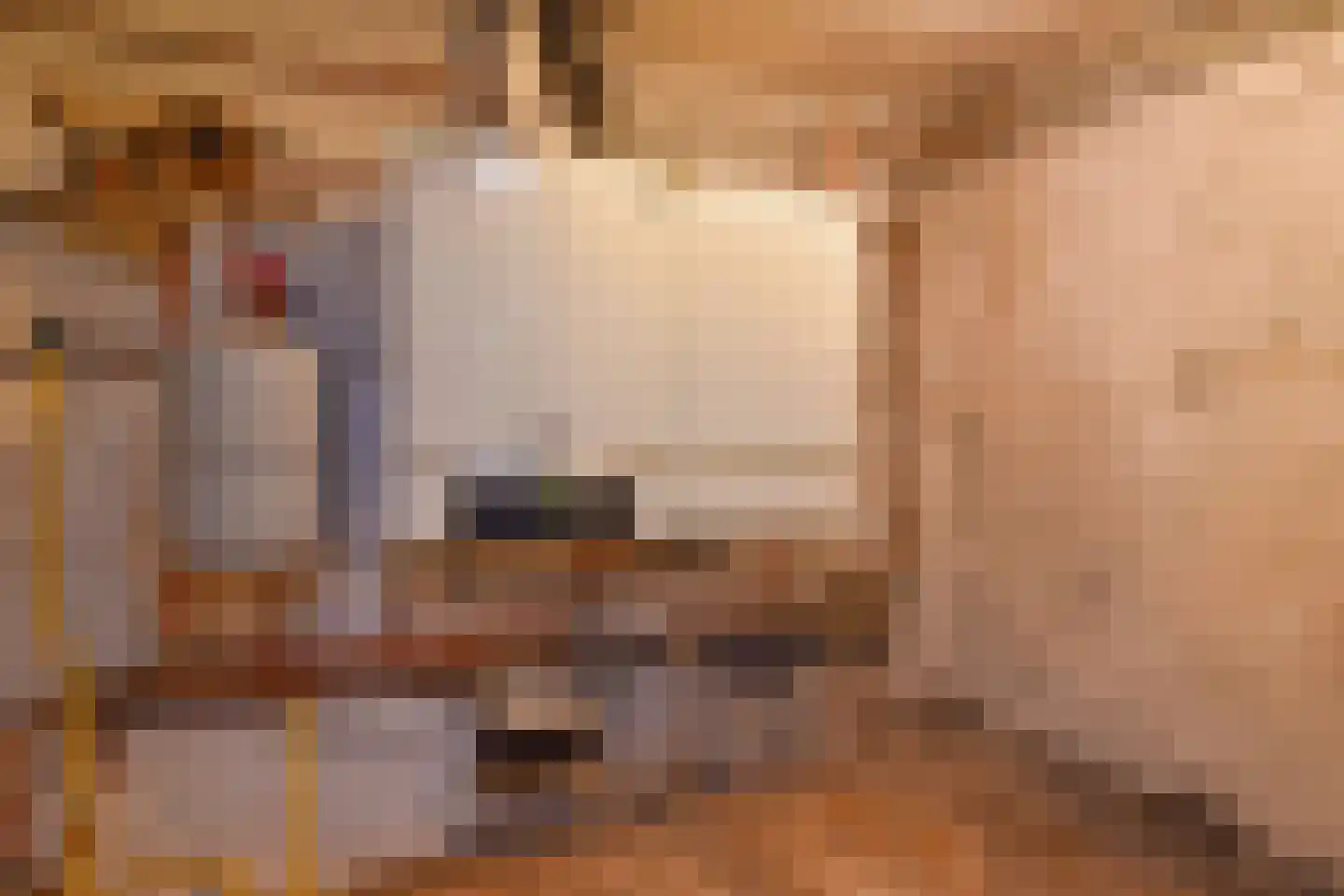 Den Burghstraat 27 Voorburg thumbnail 52