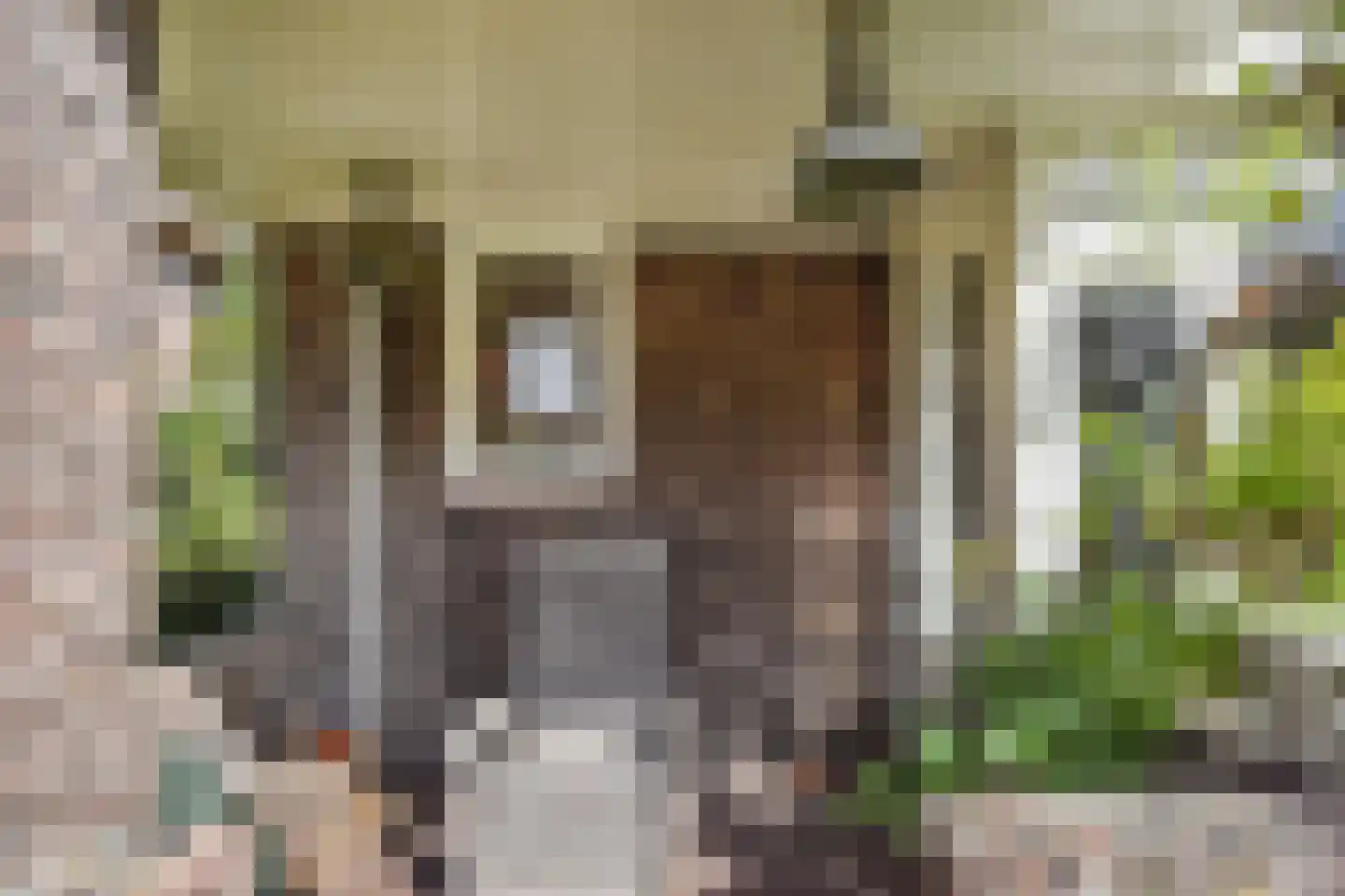 Den Burghstraat 27 Voorburg thumbnail 8
