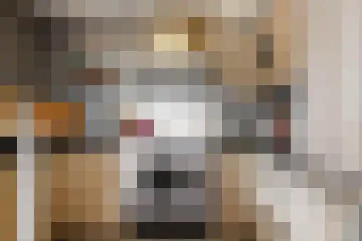 Den Burglaan 19 Limmen thumbnail 15