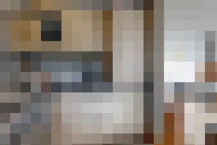 Den Burglaan 19 Limmen thumbnail 18