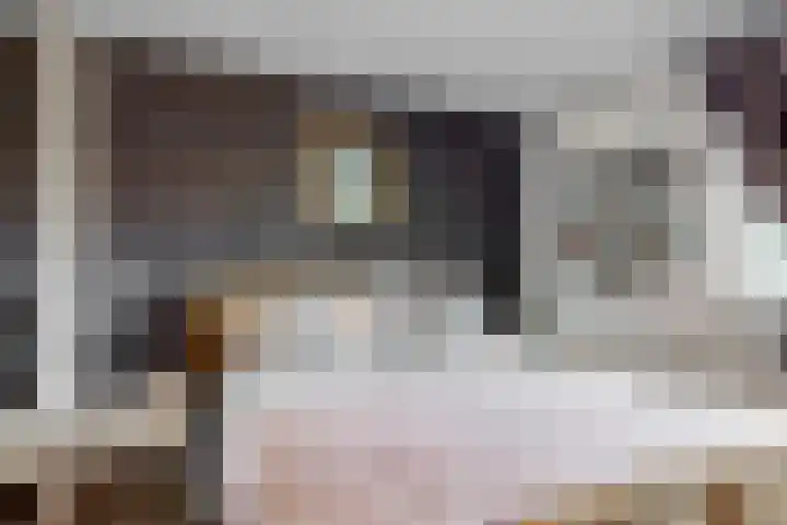 Den Burglaan 19 Limmen thumbnail 27