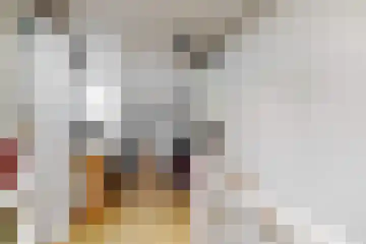 Den Burglaan 19 Limmen thumbnail 31