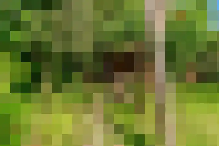 Den Burglaan 19 Limmen thumbnail 36