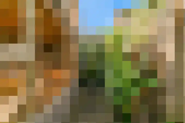 Den Burglaan 19 Limmen thumbnail 39