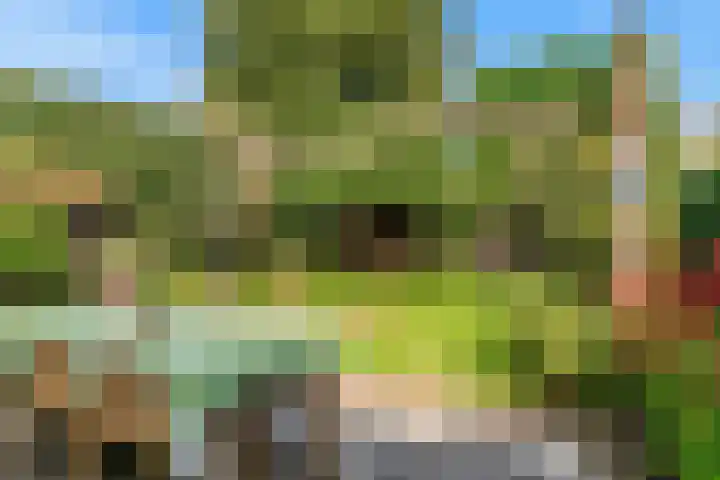 Den Burglaan 19 Limmen thumbnail 4