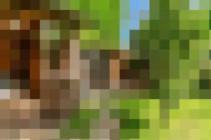Den Burglaan 19 Limmen thumbnail 40