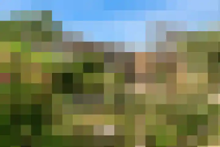 Den Burglaan 19 Limmen thumbnail 43