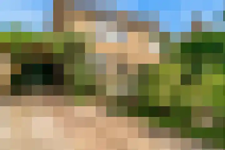 Den Burglaan 19 Limmen thumbnail 53