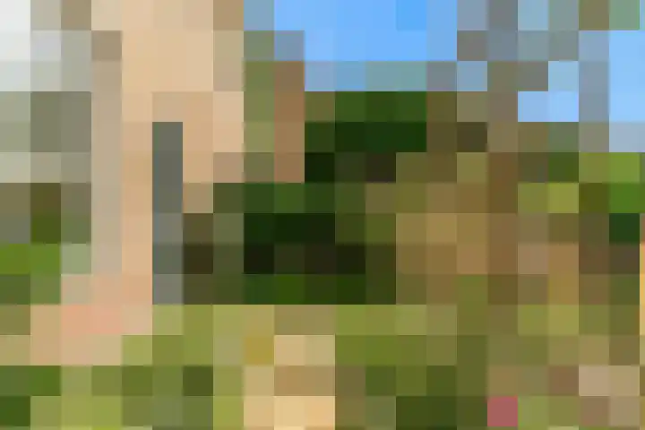 Den Burglaan 19 Limmen thumbnail 9