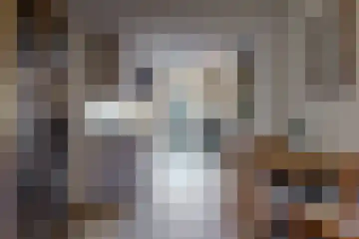 Den Burglaan 22 Limmen thumbnail 11