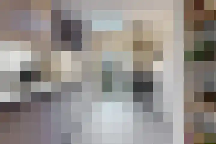 Den Burglaan 22 Limmen thumbnail 12