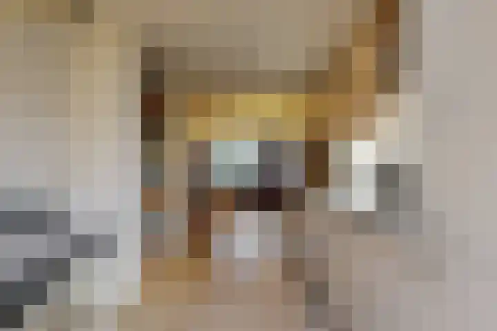 Den Burglaan 22 Limmen thumbnail 14