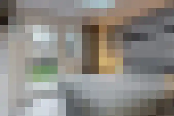 Den Burglaan 22 Limmen thumbnail 15