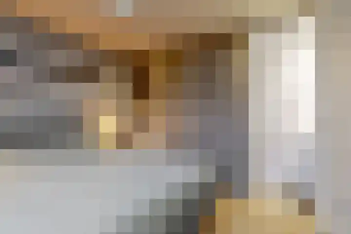 Den Burglaan 22 Limmen thumbnail 16