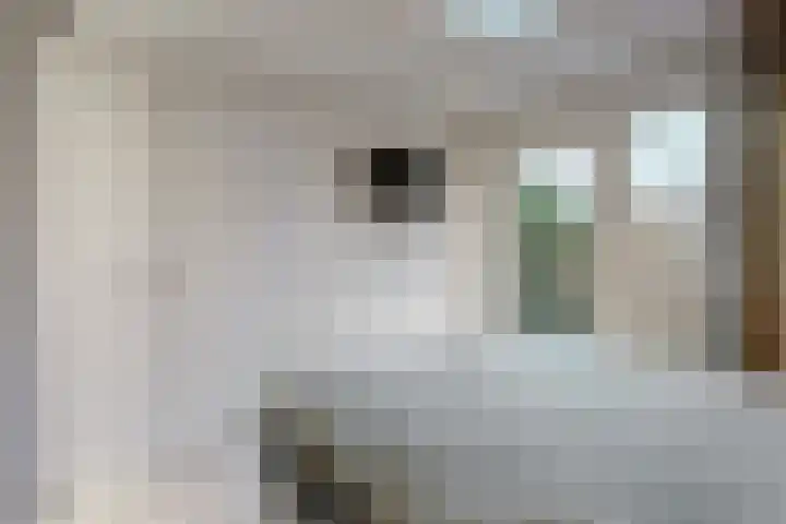 Den Burglaan 22 Limmen thumbnail 17