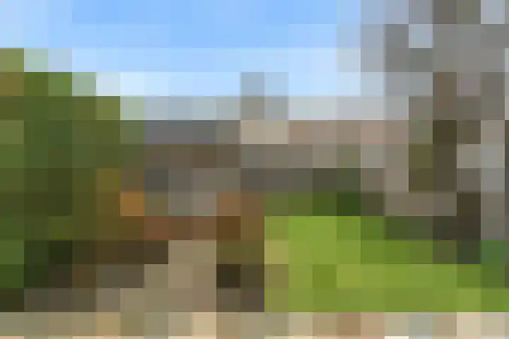 Den Burglaan 22 Limmen thumbnail 24