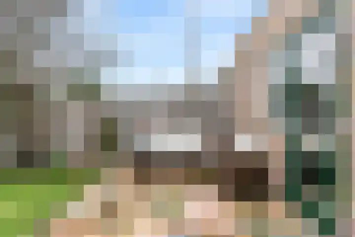 Den Burglaan 22 Limmen thumbnail 25
