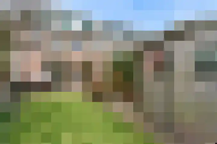 Den Burglaan 22 Limmen thumbnail 28