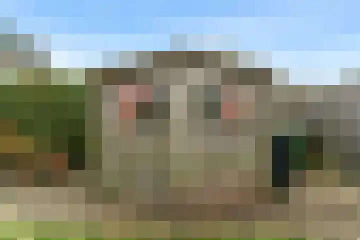 Den Burglaan 22 Limmen thumbnail 30