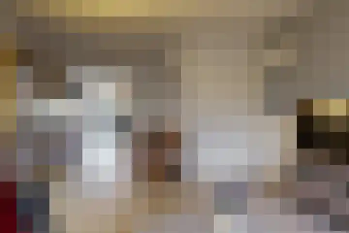 Den Burglaan 22 Limmen thumbnail 8