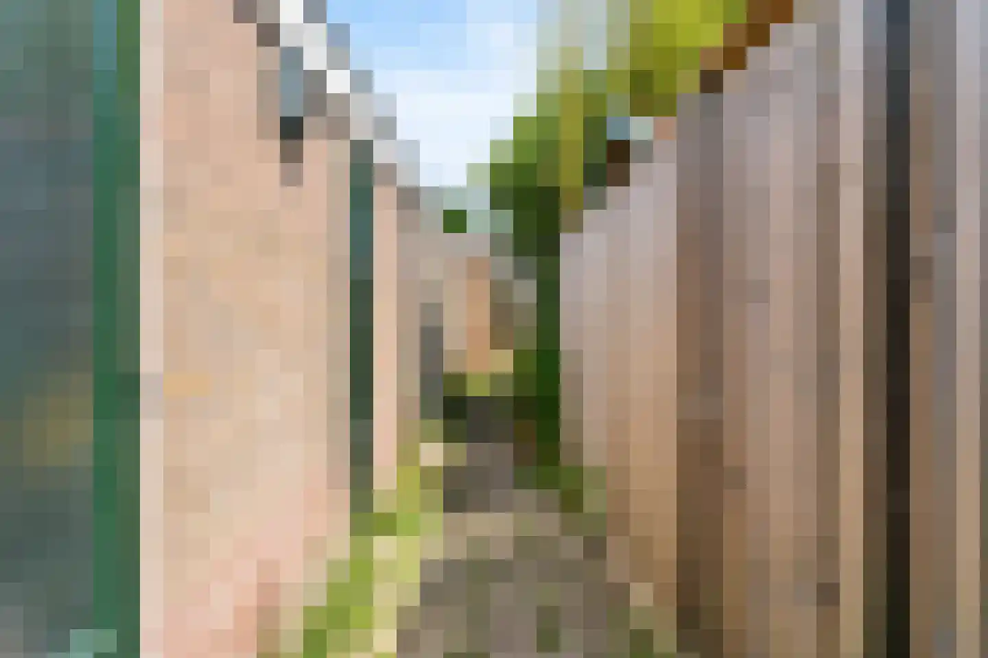 Den Burglaan 32 Limmen thumbnail 32