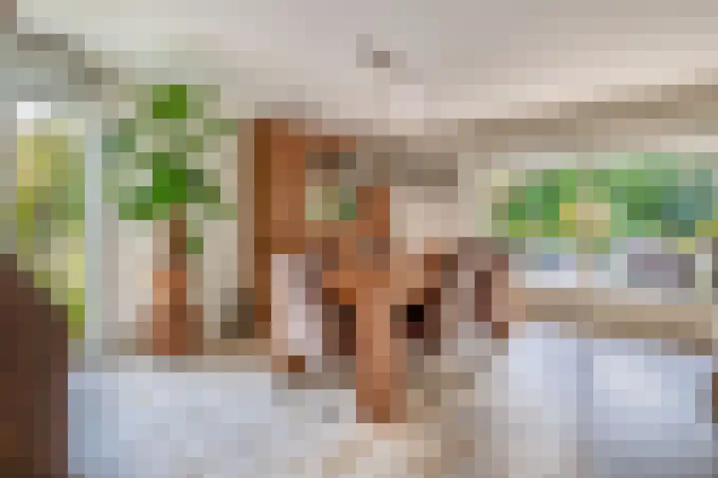 den Daal 22 Eersel thumbnail 12