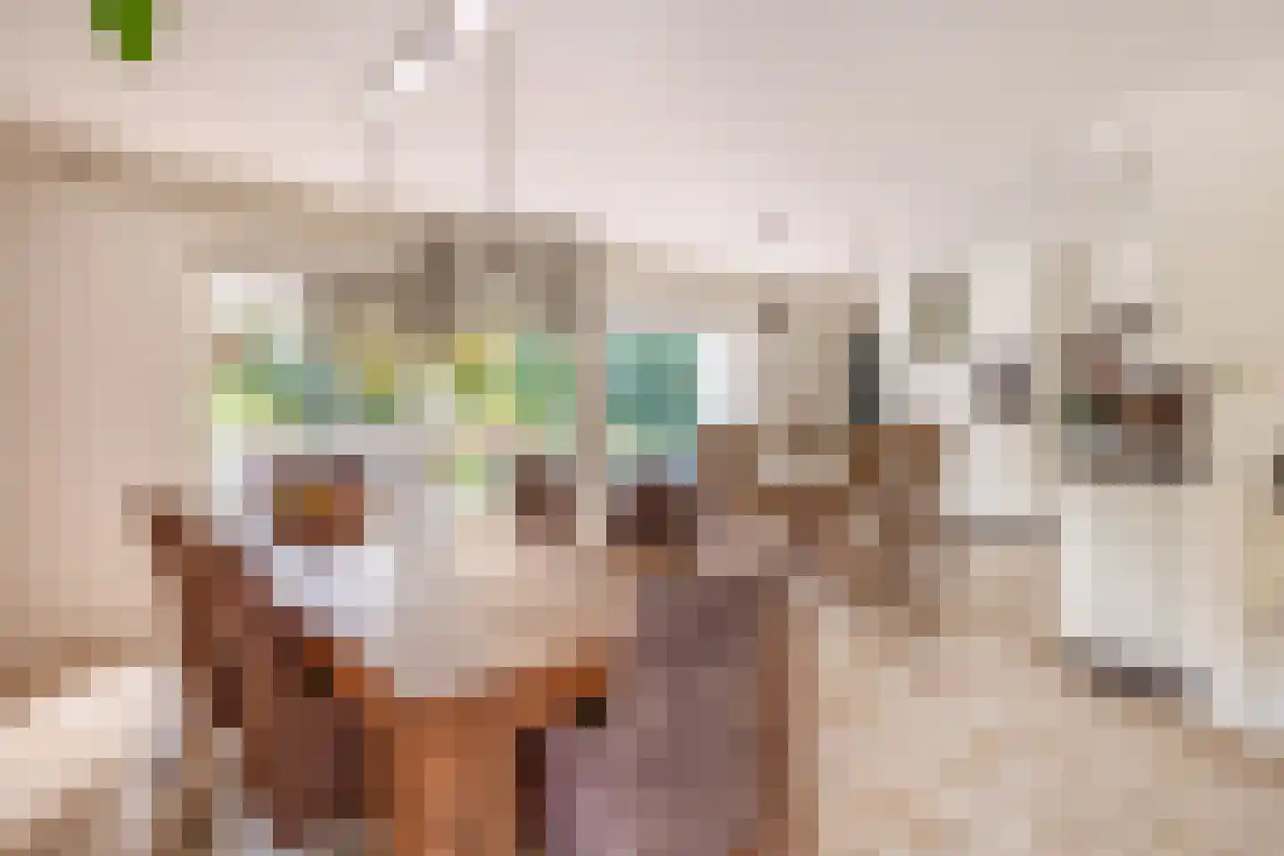 den Daal 22 Eersel thumbnail 13