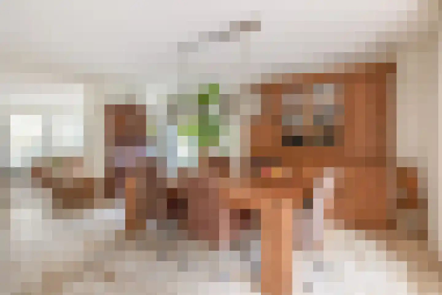 den Daal 22 Eersel thumbnail 13
