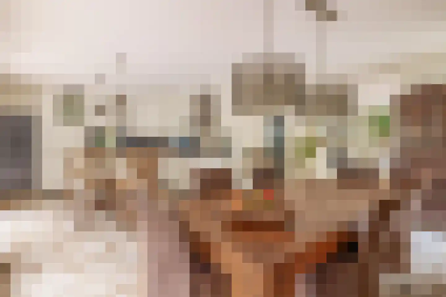 den Daal 22 Eersel thumbnail 14