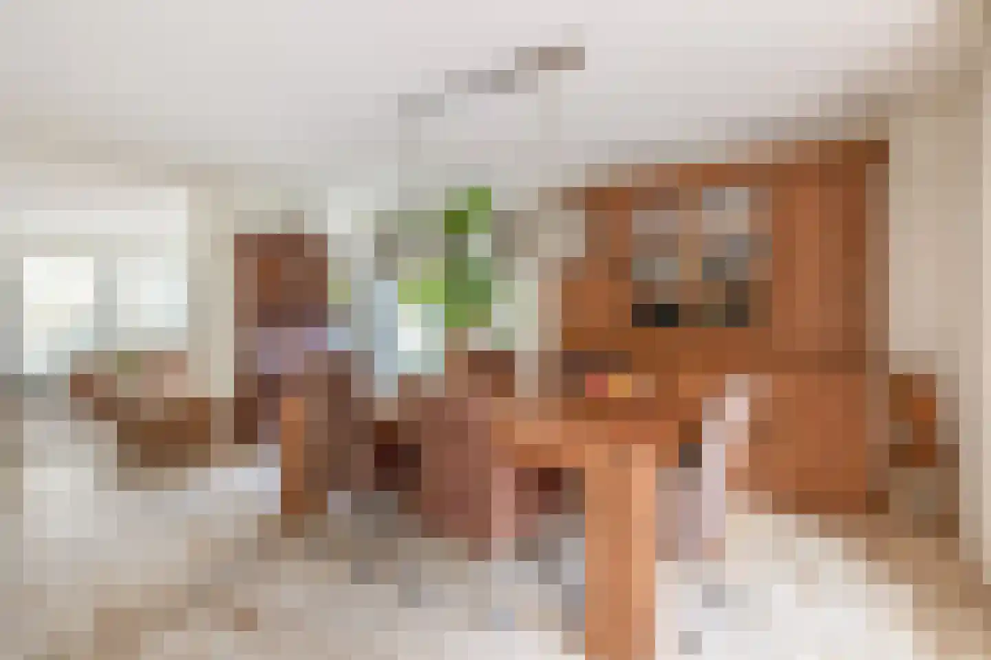 den Daal 22 Eersel thumbnail 15