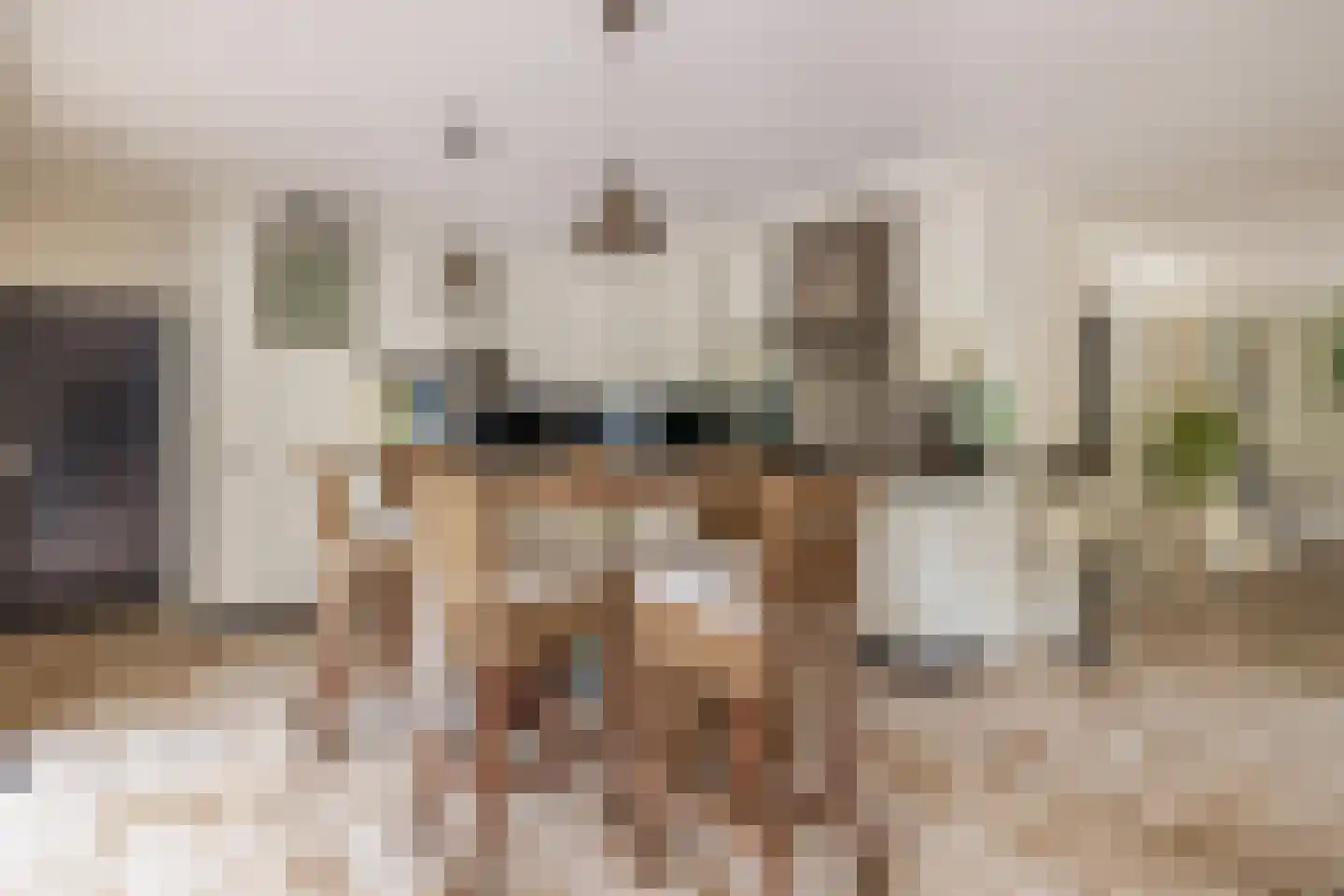 den Daal 22 Eersel thumbnail 16