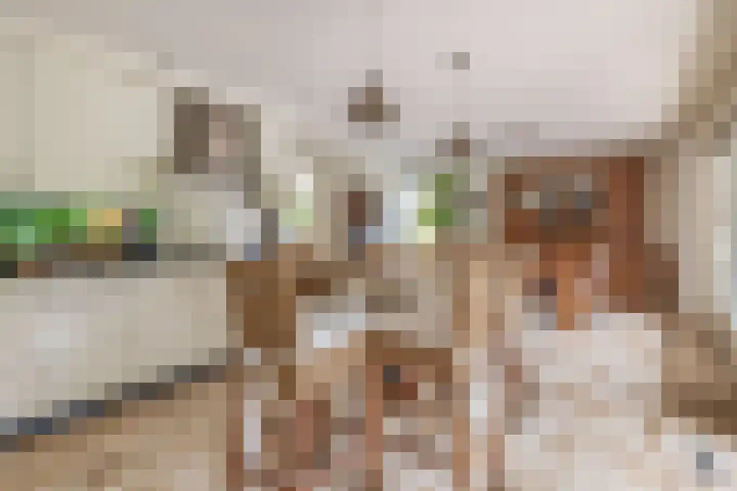 den Daal 22 Eersel thumbnail 17